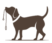 Secure dog walking shop near me